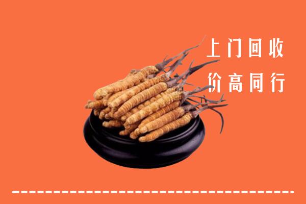 玉林市容县区回收散虫草