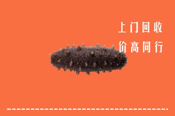 玉林市容县区回收海参